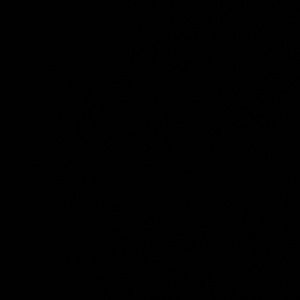 Meet your Posher, Abigail